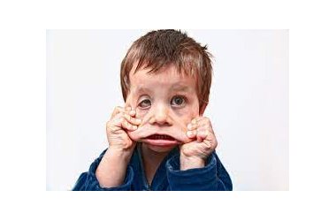 Det du ikke kan finde andre steder