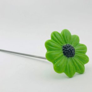 Grn marguerit, bukket stngel