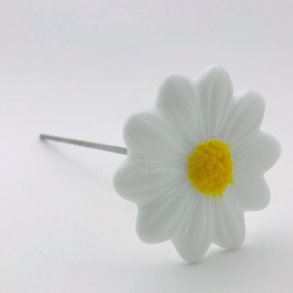 Hvid marguerit i glas