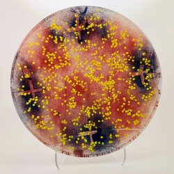 Glasfad / fuglebad i multi farve