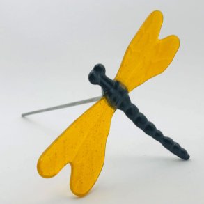 Guldsmed i glas, gule vinger