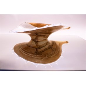 Lysebrunt konkylie glasfad